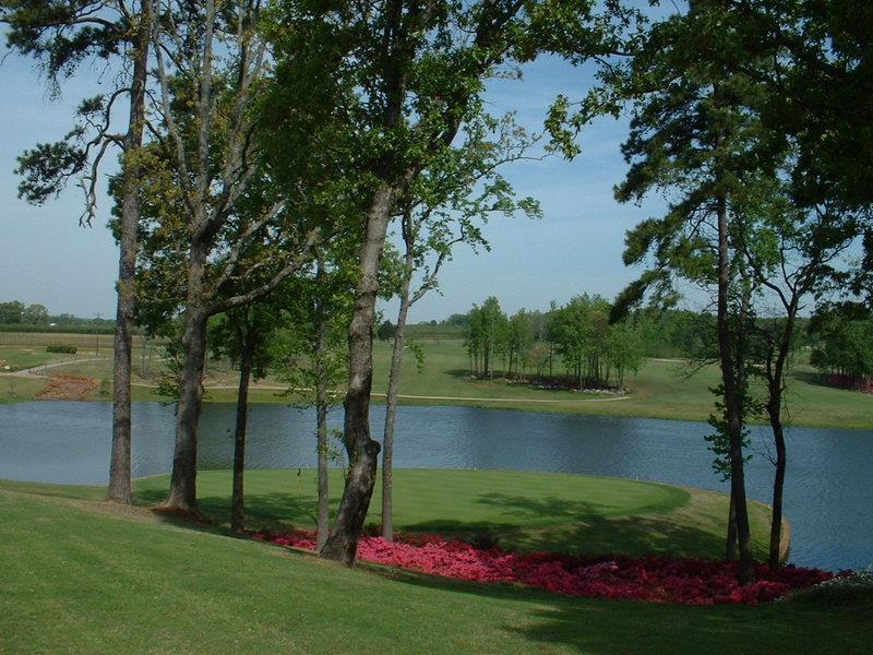 Best Western Canton Inn Faciliteter billede